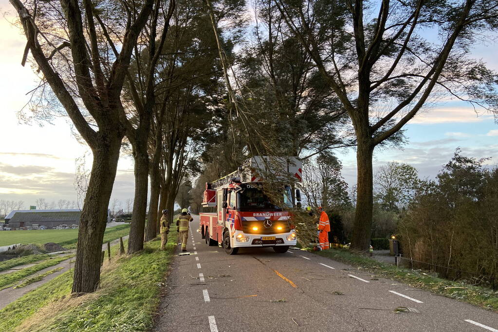 Brandweer ingezet voor afgebroken tak