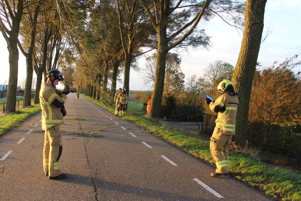 Brandweer ingezet voor afgebroken tak