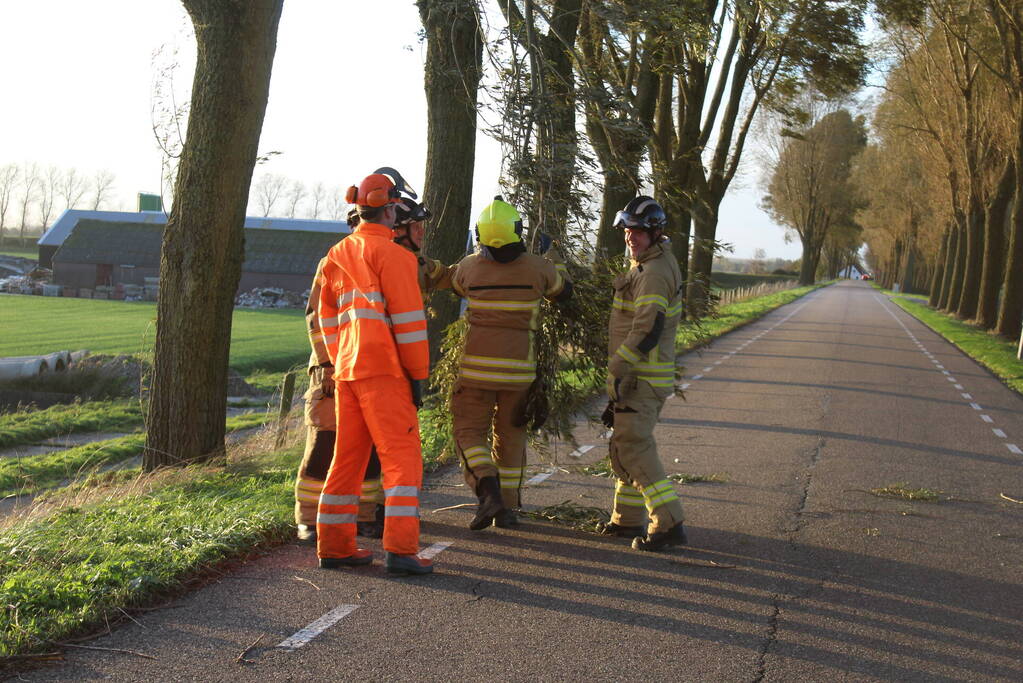 Brandweer ingezet voor afgebroken tak