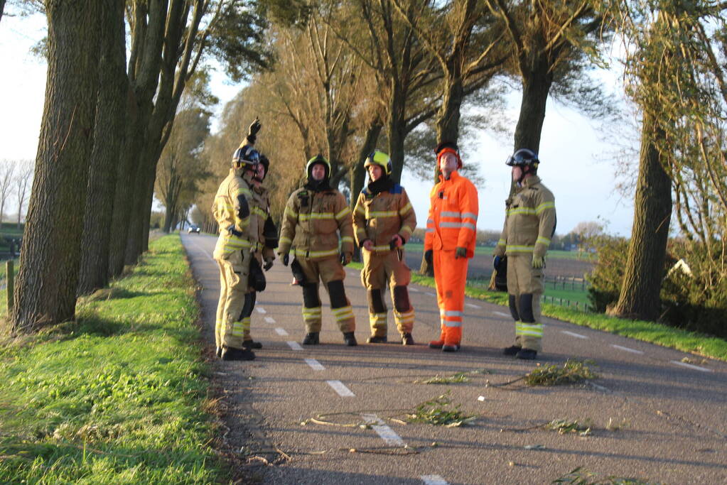 Brandweer ingezet voor afgebroken tak