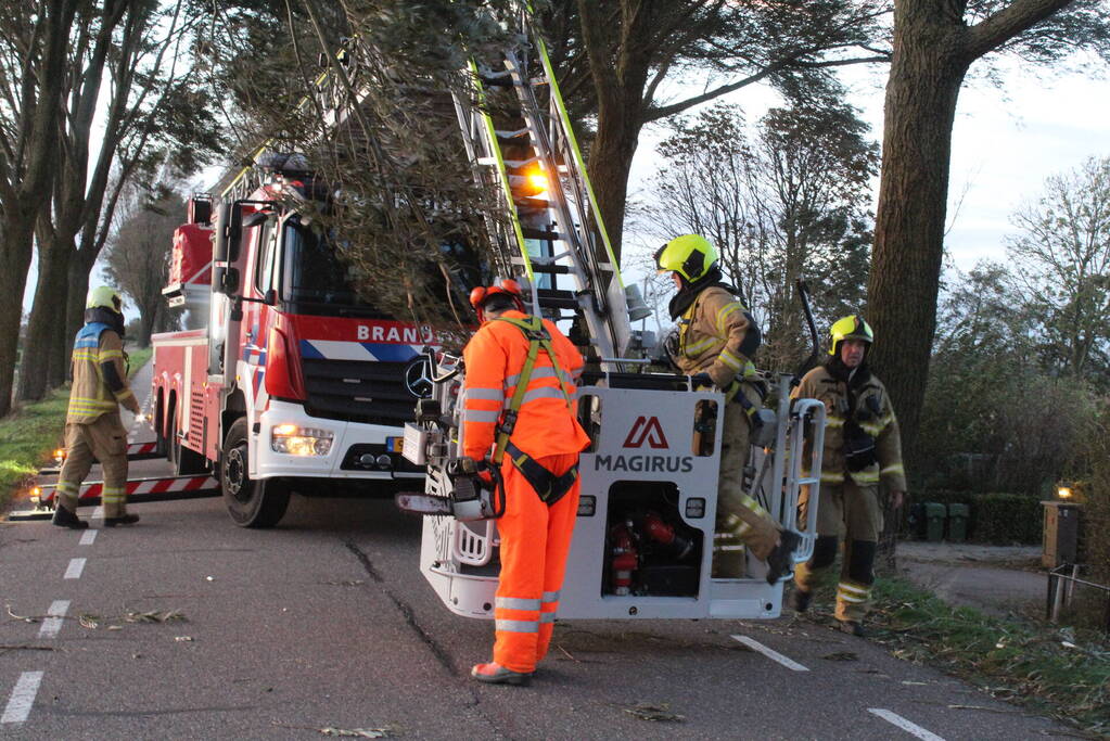 Brandweer ingezet voor afgebroken tak