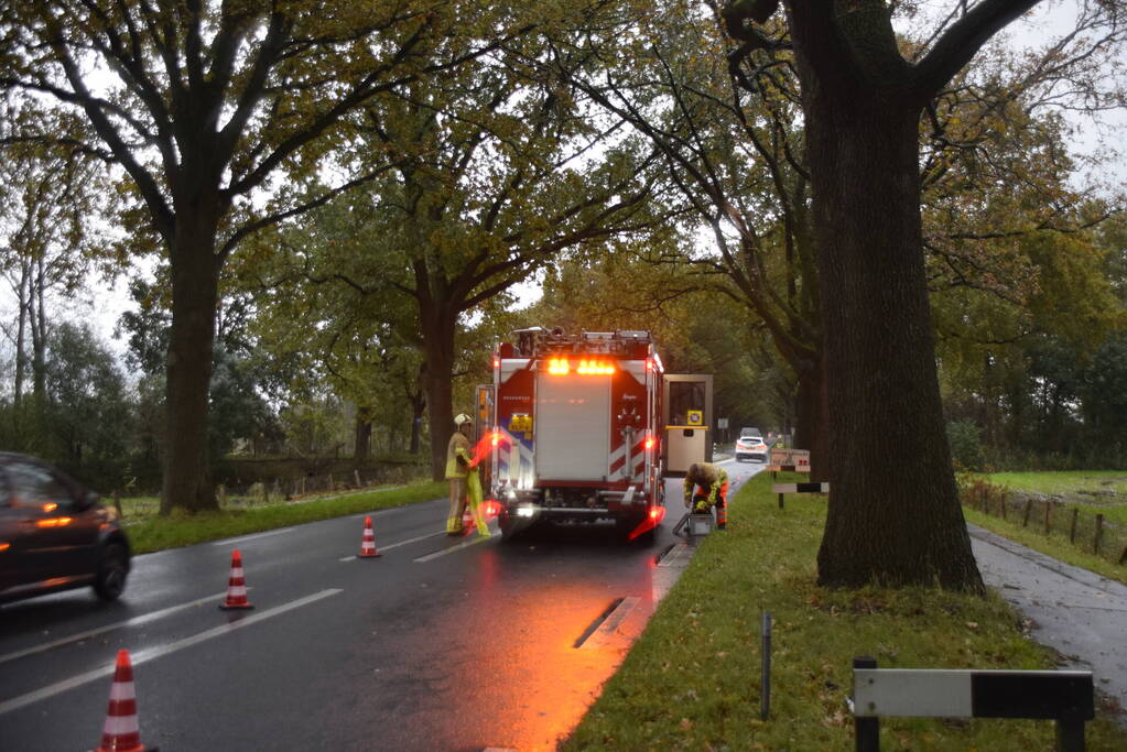 Weg afgesloten door afgebroken tak