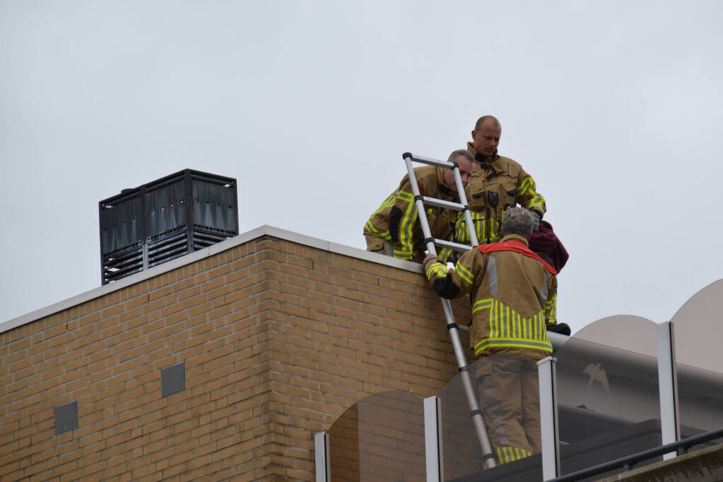 Brandweer haalt gewonde zwaan van dak