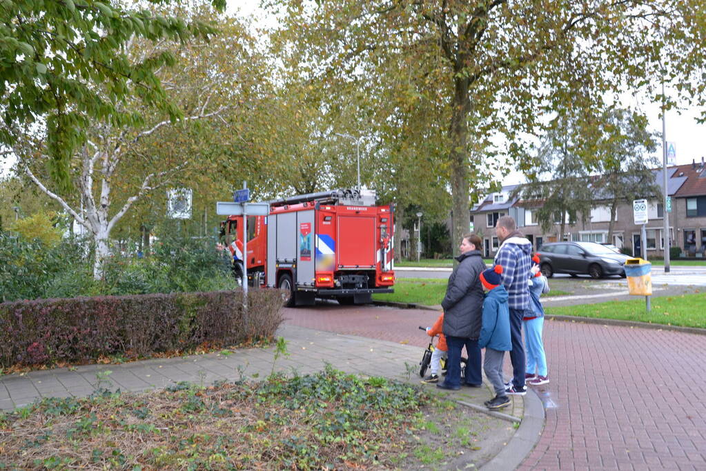 Brandweer haalt gewonde zwaan van dak