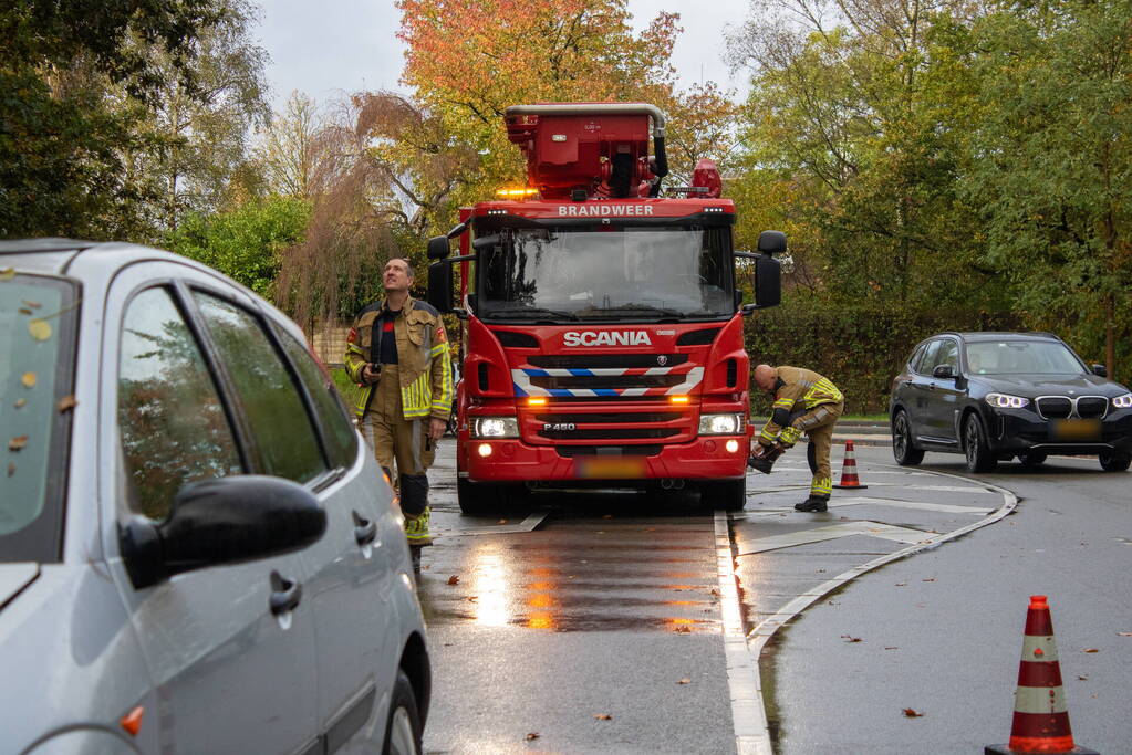 Auto beschadigd bij botsing tegen lantaarnpaal