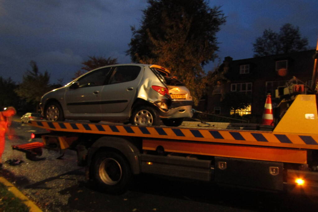 Bestelbus klapt op geparkeerde auto nadat hond op schoot springt