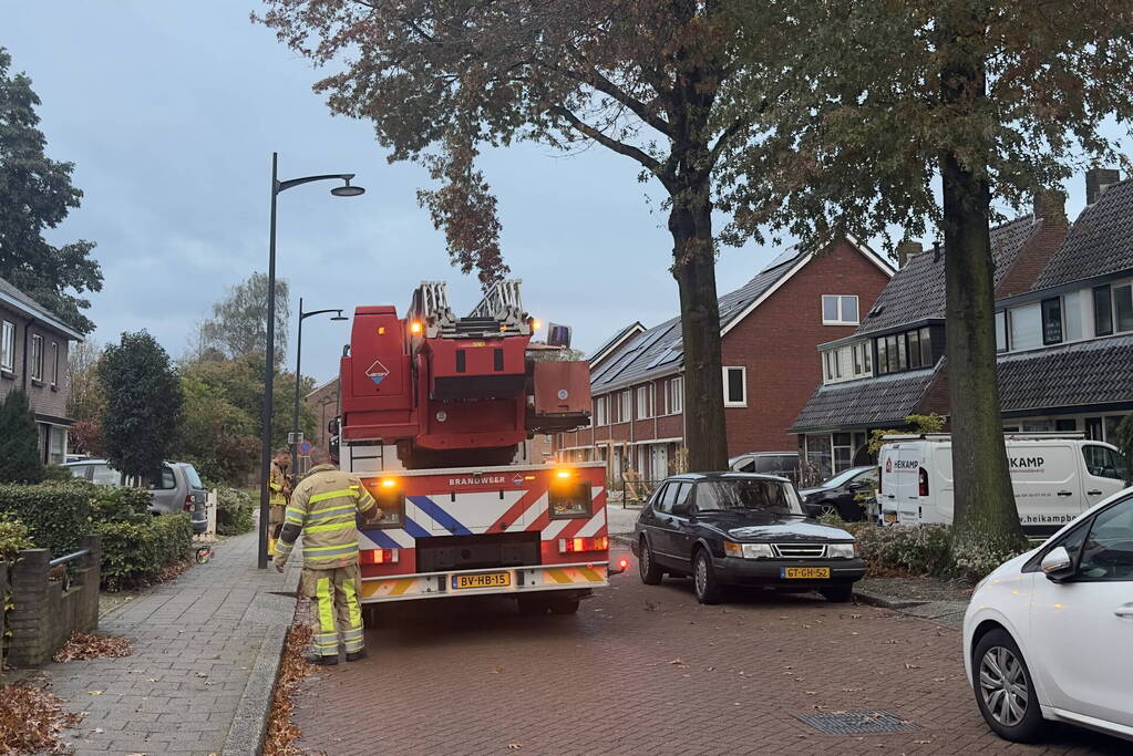 Grote loshangende tak boven weg verwijderd