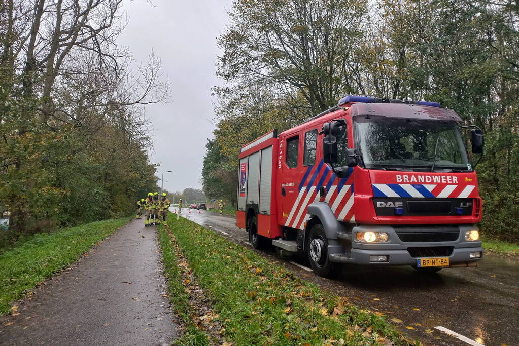 Brandweer verwijdert gevaarlijk hangende tak