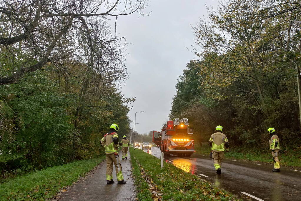 Brandweer verwijdert gevaarlijk hangende tak