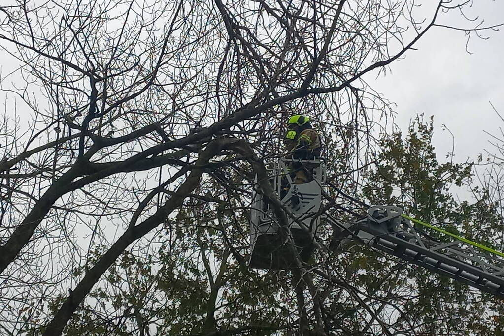 Brandweer verwijdert gevaarlijk hangende tak