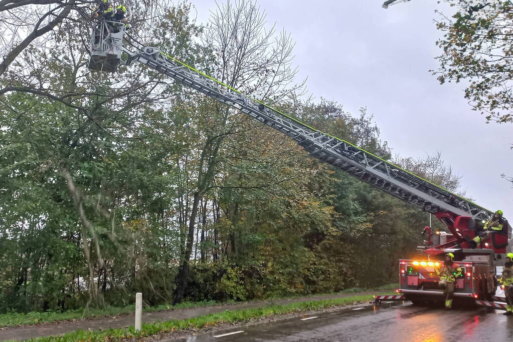 Brandweer verwijdert gevaarlijk hangende tak