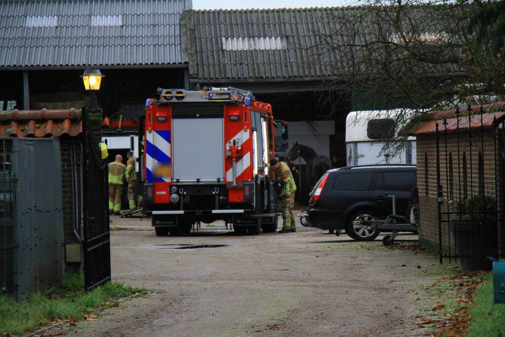 Paard vast in trailer bij manege