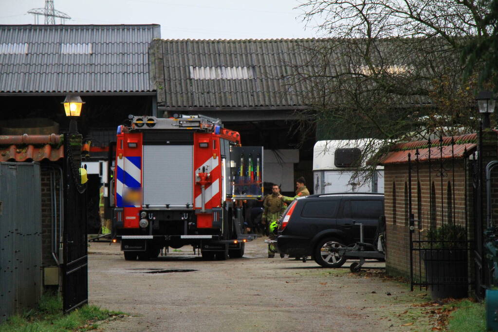 Paard vast in trailer bij manege