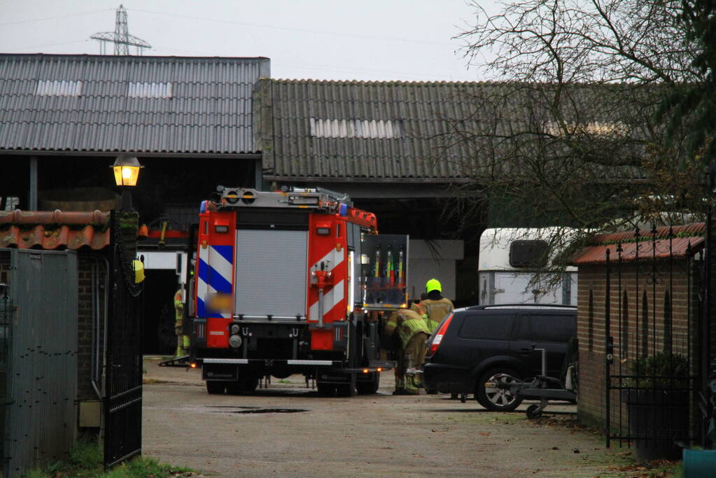 Paard vast in trailer bij manege