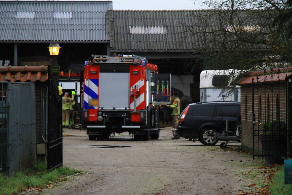 Paard vast in trailer bij manege