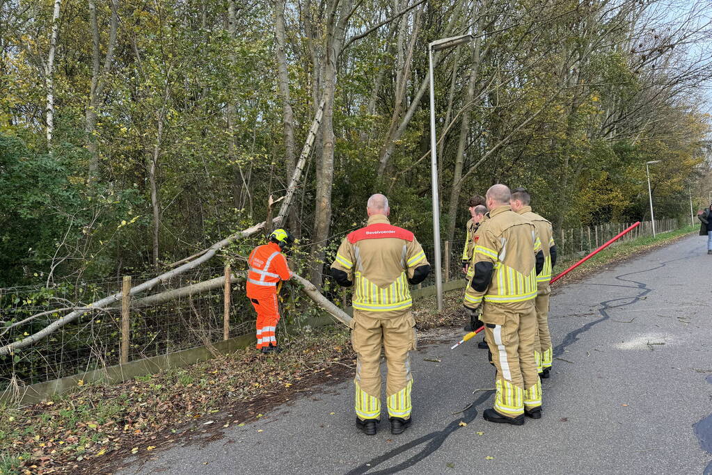 Brandweer zaagt boom in stukken