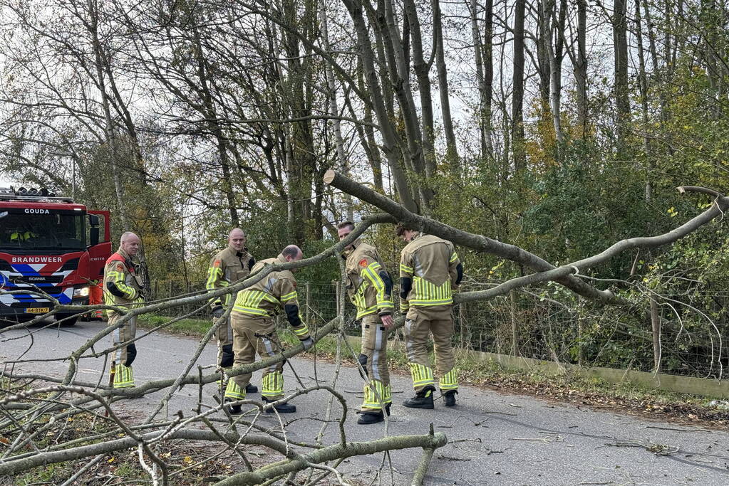 Brandweer zaagt boom in stukken