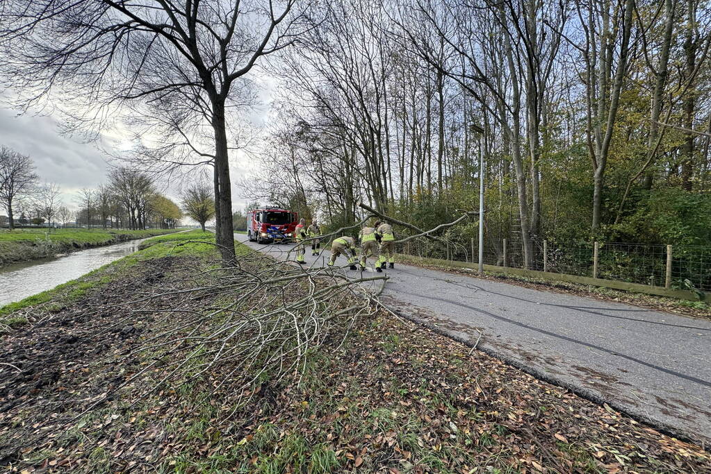 Brandweer zaagt boom in stukken