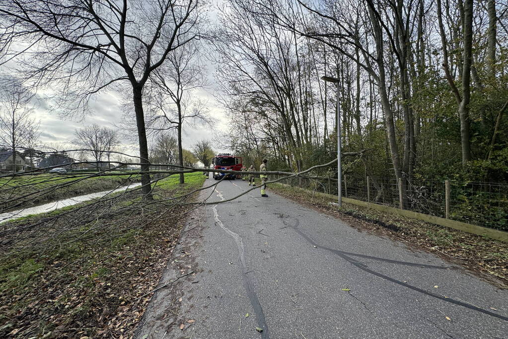 Brandweer zaagt boom in stukken