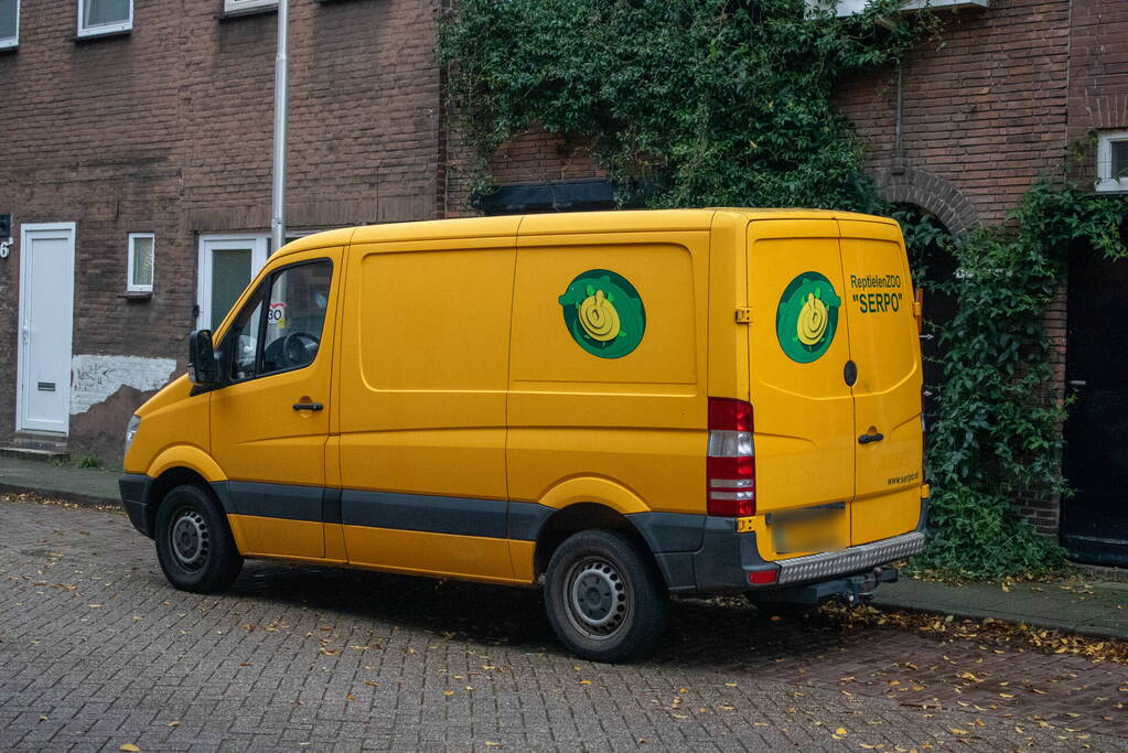 Zoekactie naar zeer giftig groene mamba nadat deze ontsnapt