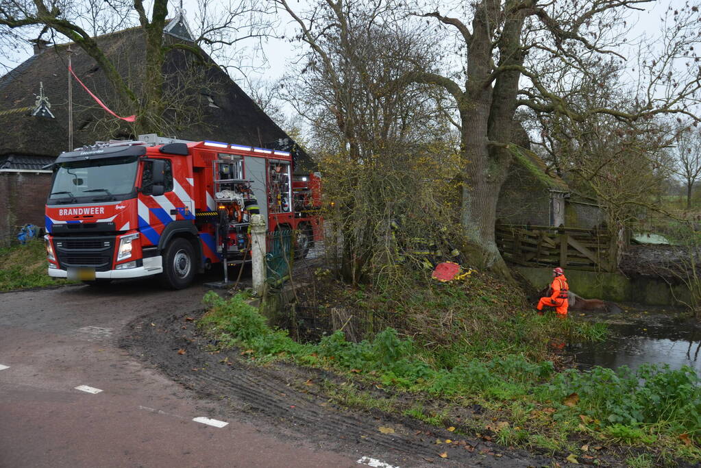 Paard uit het water gered met kraan