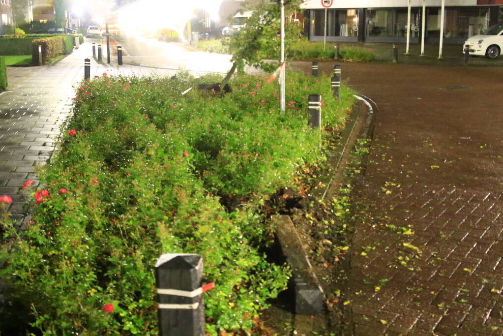 Automobilist botst op paal en boom