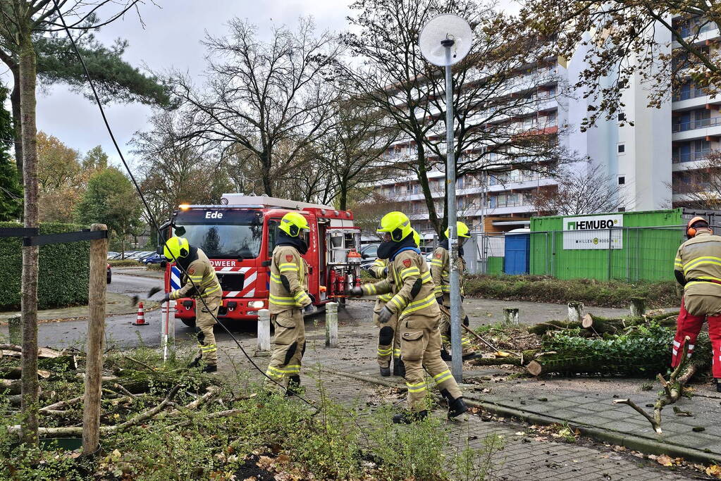 Omgevallen boom beschadigd lantaarnpaal