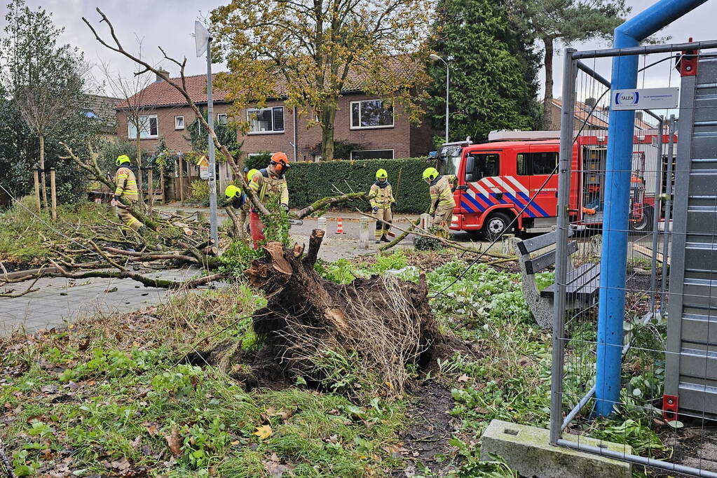 Omgevallen boom beschadigd lantaarnpaal