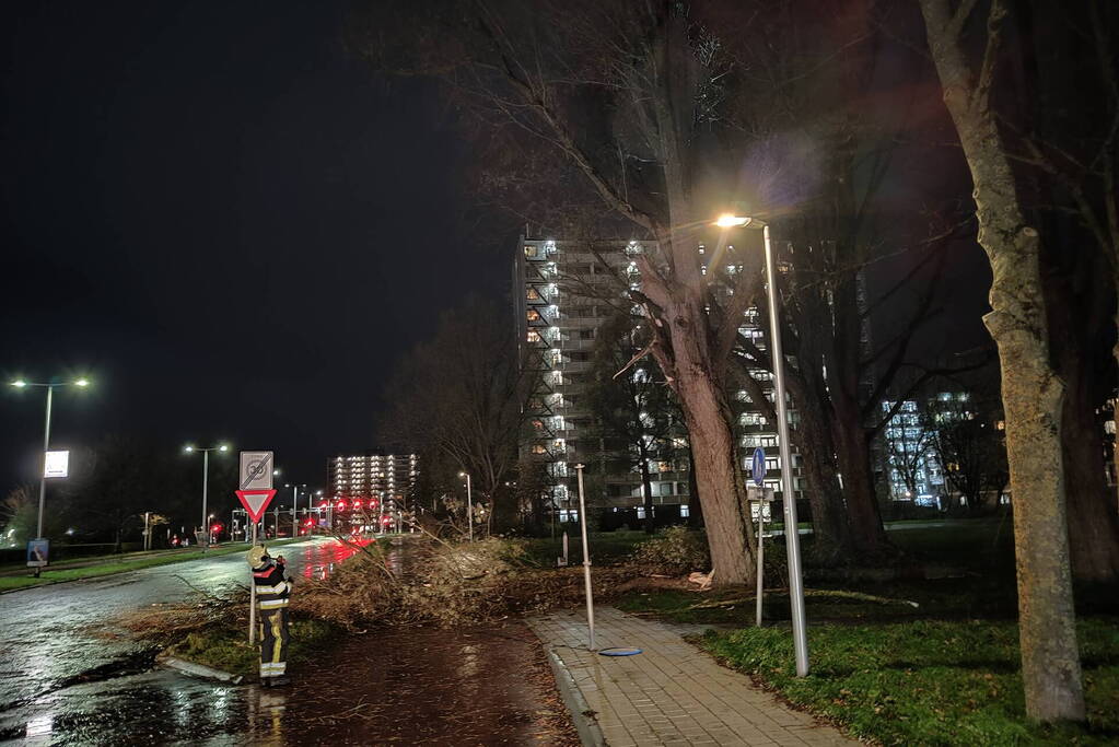 Grote tak breekt uit boom