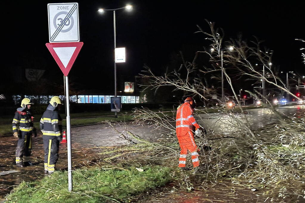 Grote tak breekt uit boom