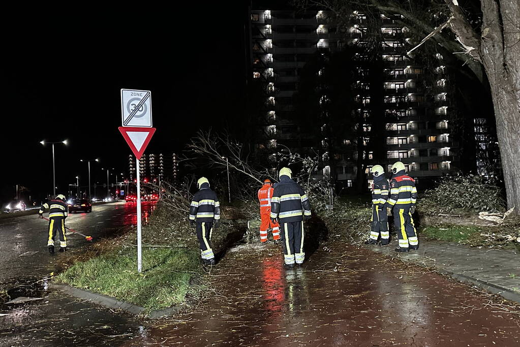 Grote tak breekt uit boom