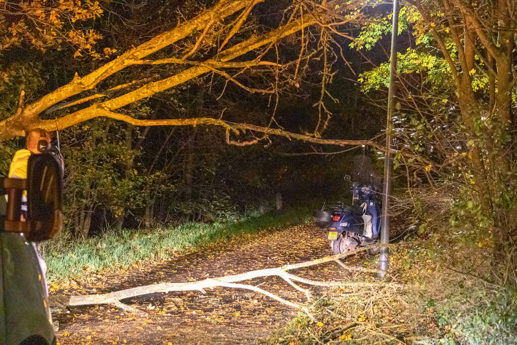 Scooterrijder gewond bij botsing met omgewaaide boom