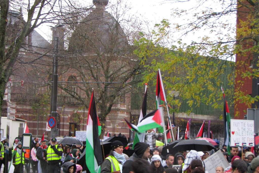 Grote opkomst bij Pro Palestina demonstratie