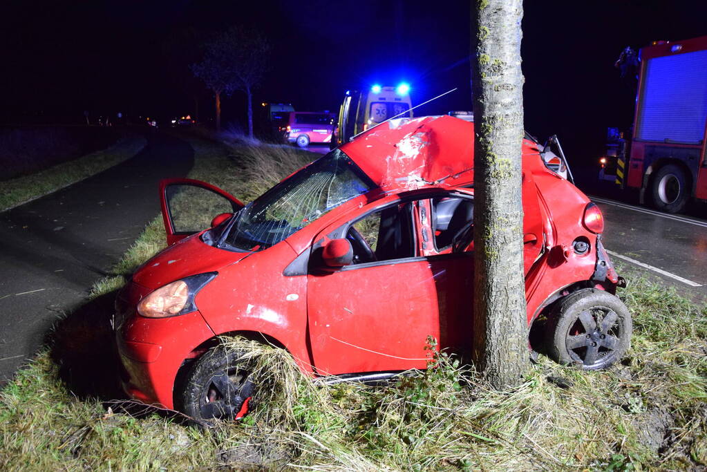 Persoon zwaargewond bij botsing tegen boom