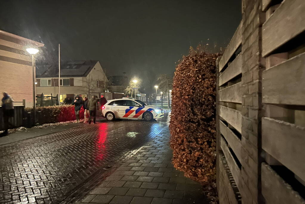 Brand in schoorsteen snel gedoofd