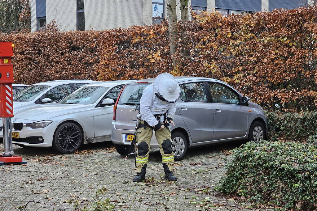 Nest Aziatische Hoornaars verwijderd met behulp van hoogwerker