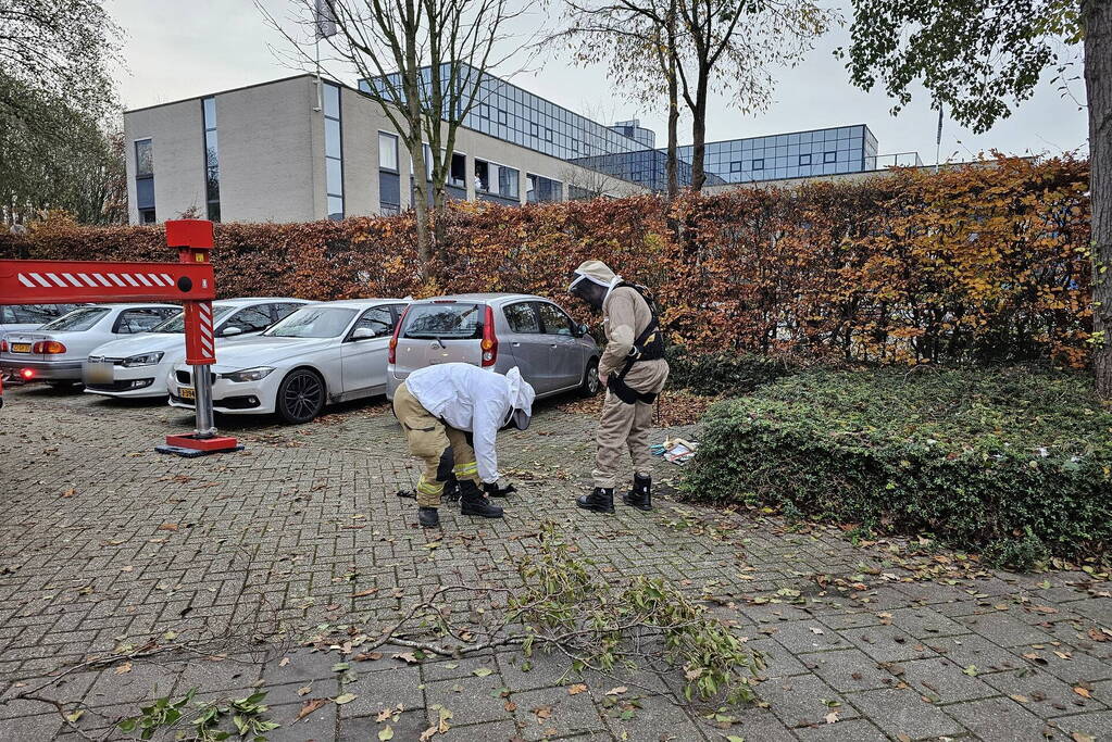 Nest Aziatische Hoornaars verwijderd met behulp van hoogwerker