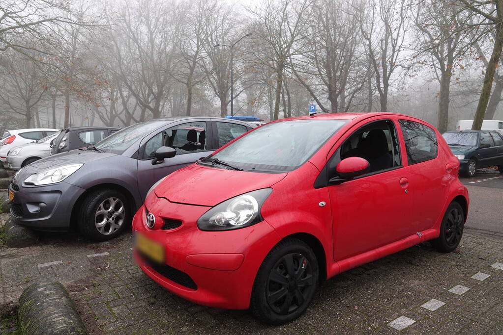 Tien geparkeerde auto's opengebroken