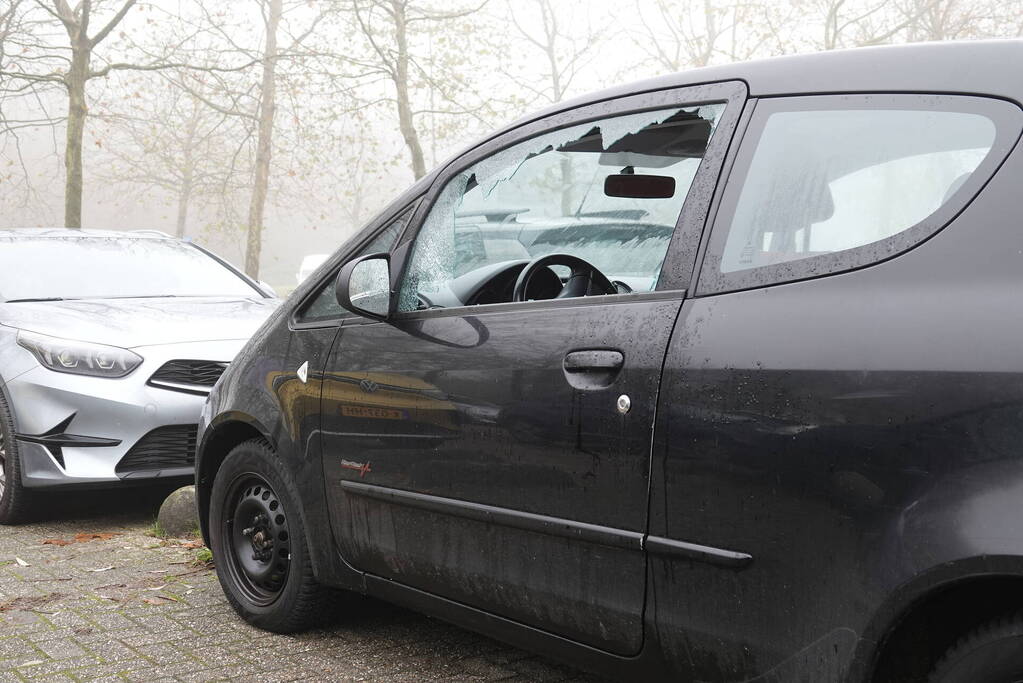 Tien geparkeerde auto's opengebroken