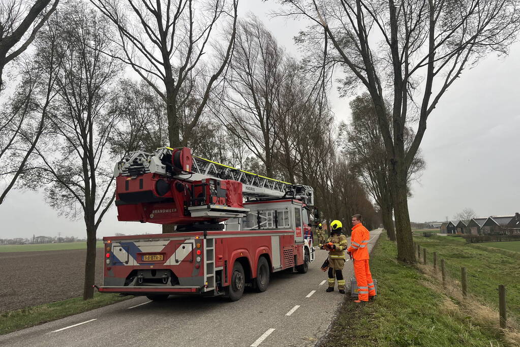 Grote tak dreigt uit boom te waaien