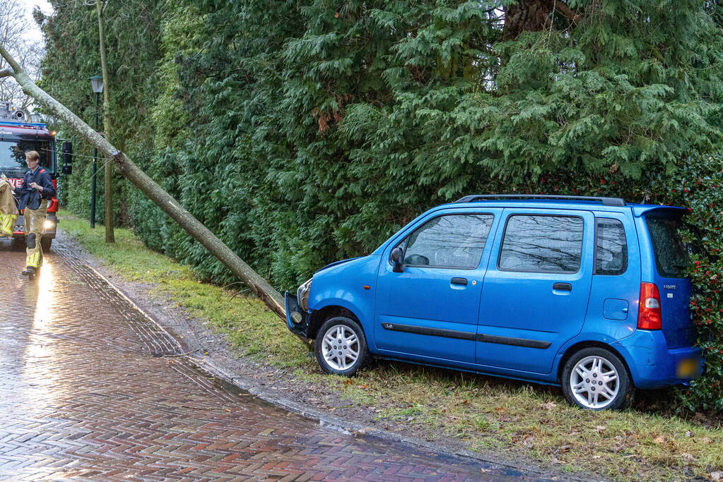 Automobilist rijdt boom omver