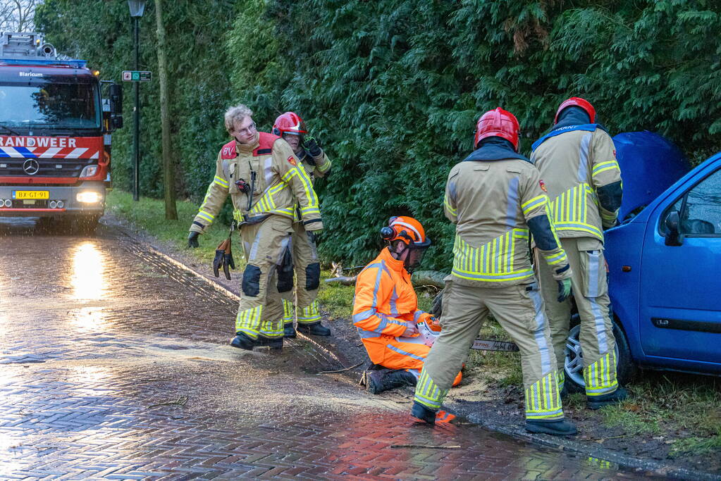 Automobilist rijdt boom omver