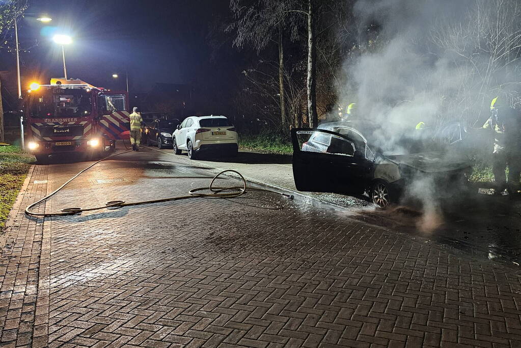 Voertuig beschadigd bij brand