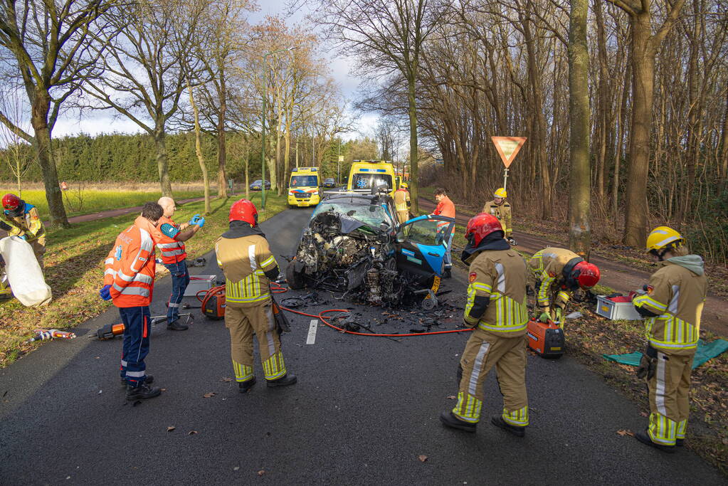 Bestuurder van bestelbus botst op boom