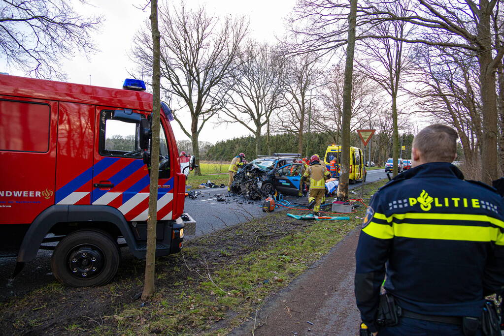 Bestuurder van bestelbus botst op boom