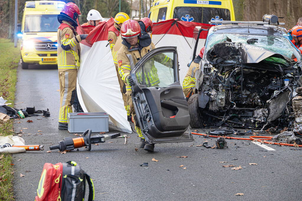 Bestuurder van bestelbus botst op boom