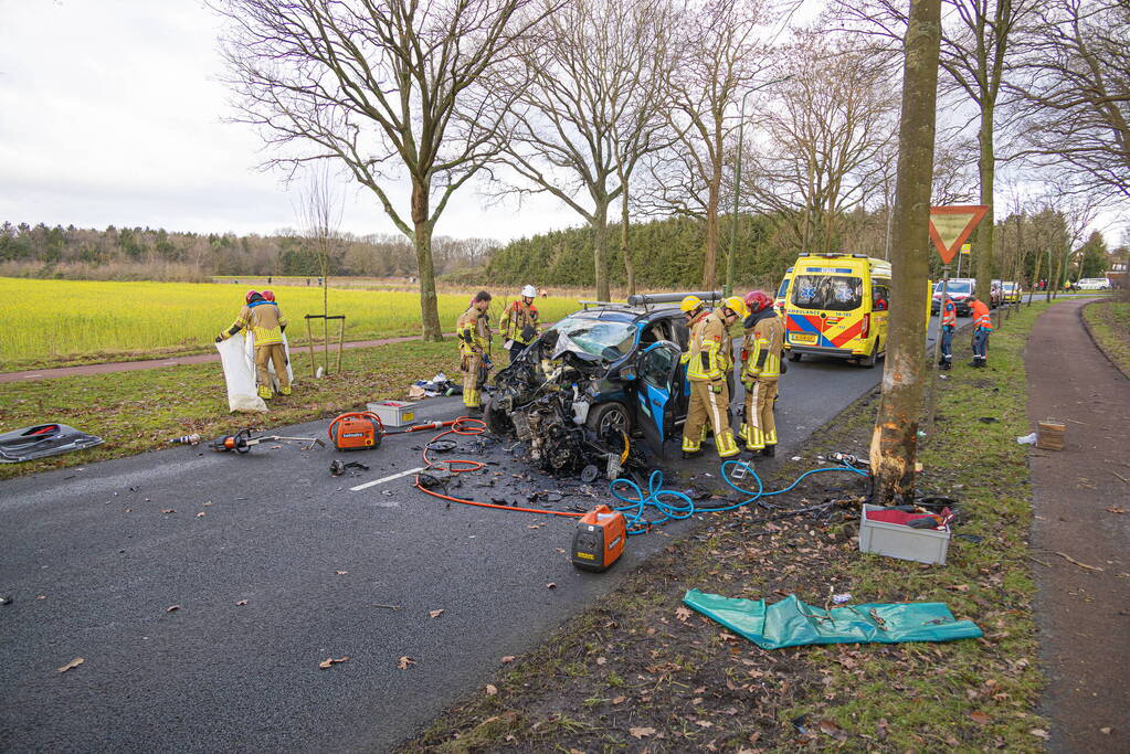 Bestuurder van bestelbus botst op boom