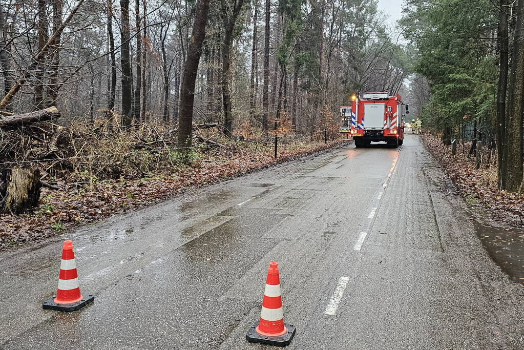 Twee bomen geveld door storm Pia