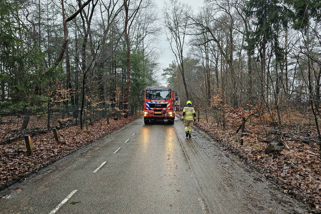 Twee bomen geveld door storm Pia