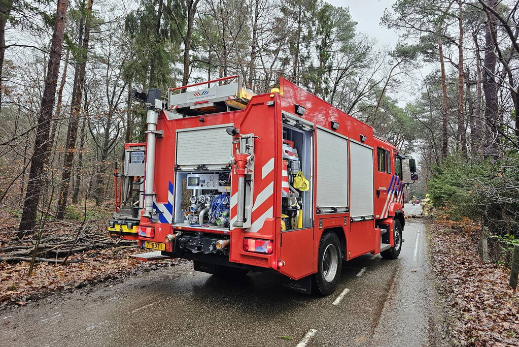 Twee bomen geveld door storm Pia